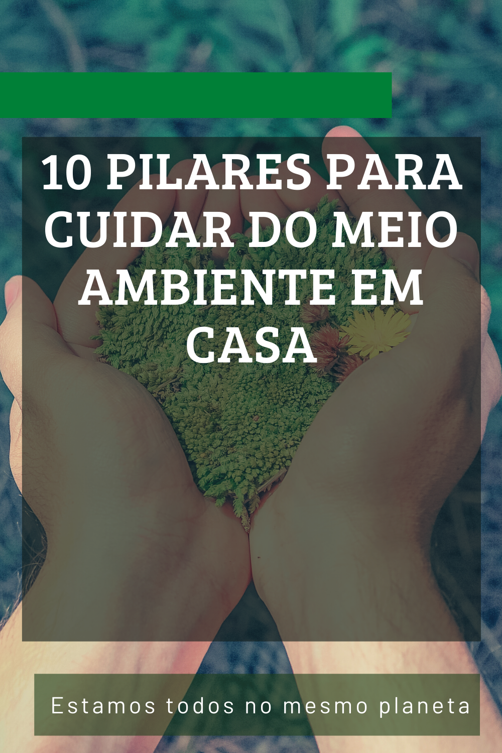 10 Pilares para Cuidar do Meio Ambiente em Casa